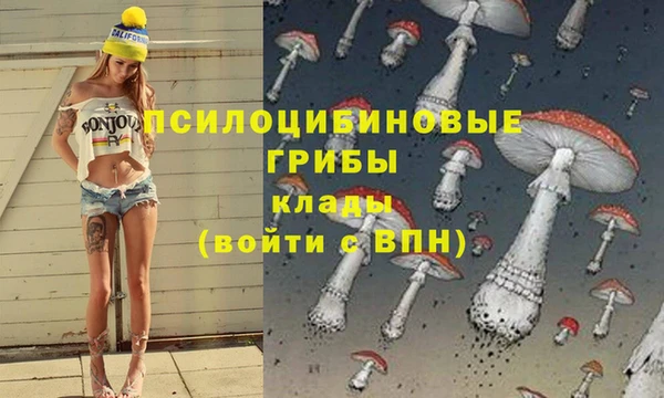ECSTASY Алексеевка