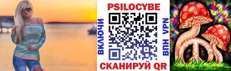 Галлюциногенные грибы Cubensis Венёв