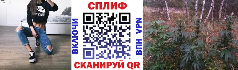 МЕГА маркетплейс  хочу   Венёв  Конопля ГИДРОПОН 